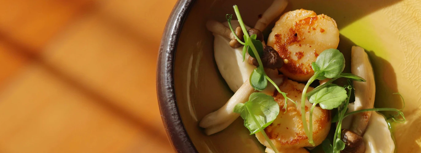 Gæst spiser kammusling til forret i Restaurant Holger