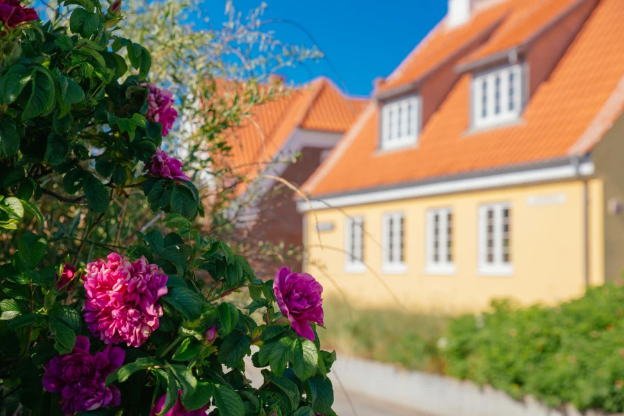 Sommerdag i Østerby, Skagen