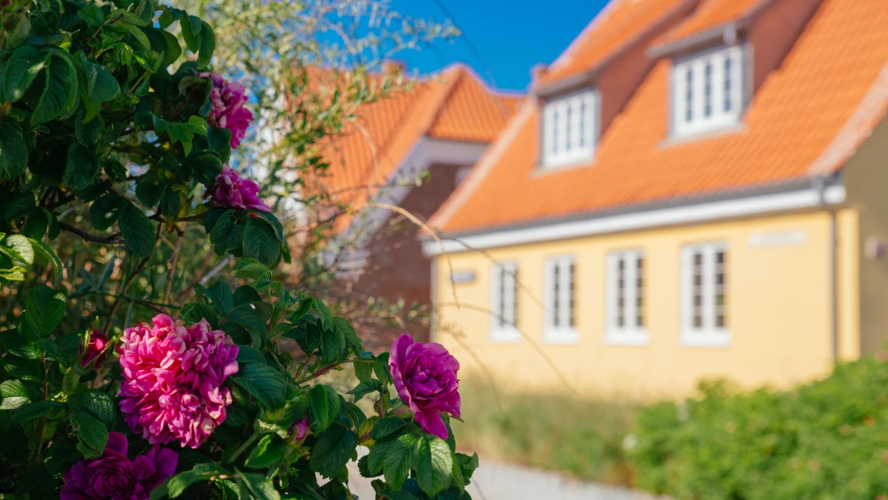 Sommerdag i Østerby, Skagen